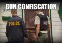 Trump Endorses Red Flag Laws