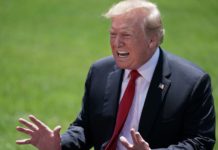 Democrats Hire Psychiatrists To Dump On Trump