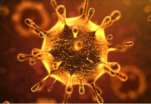 Trump: No Martial Law to Contain Virus in U.S.