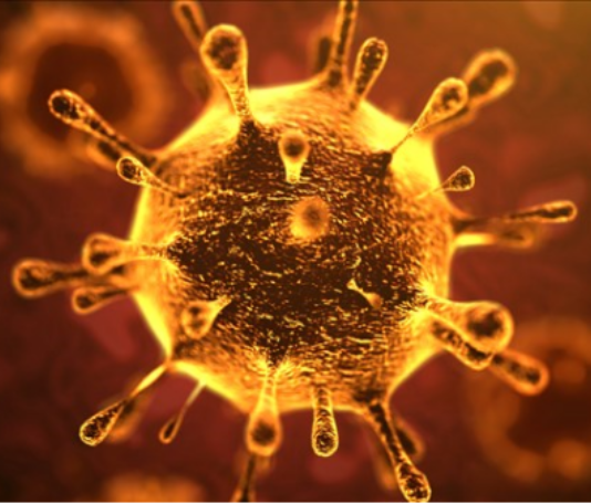 Trump: No Martial Law to Contain Virus in U.S.